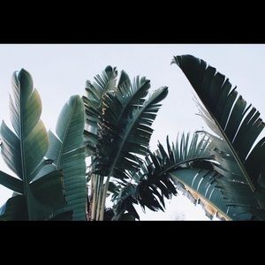 Meet your Posher, Neha